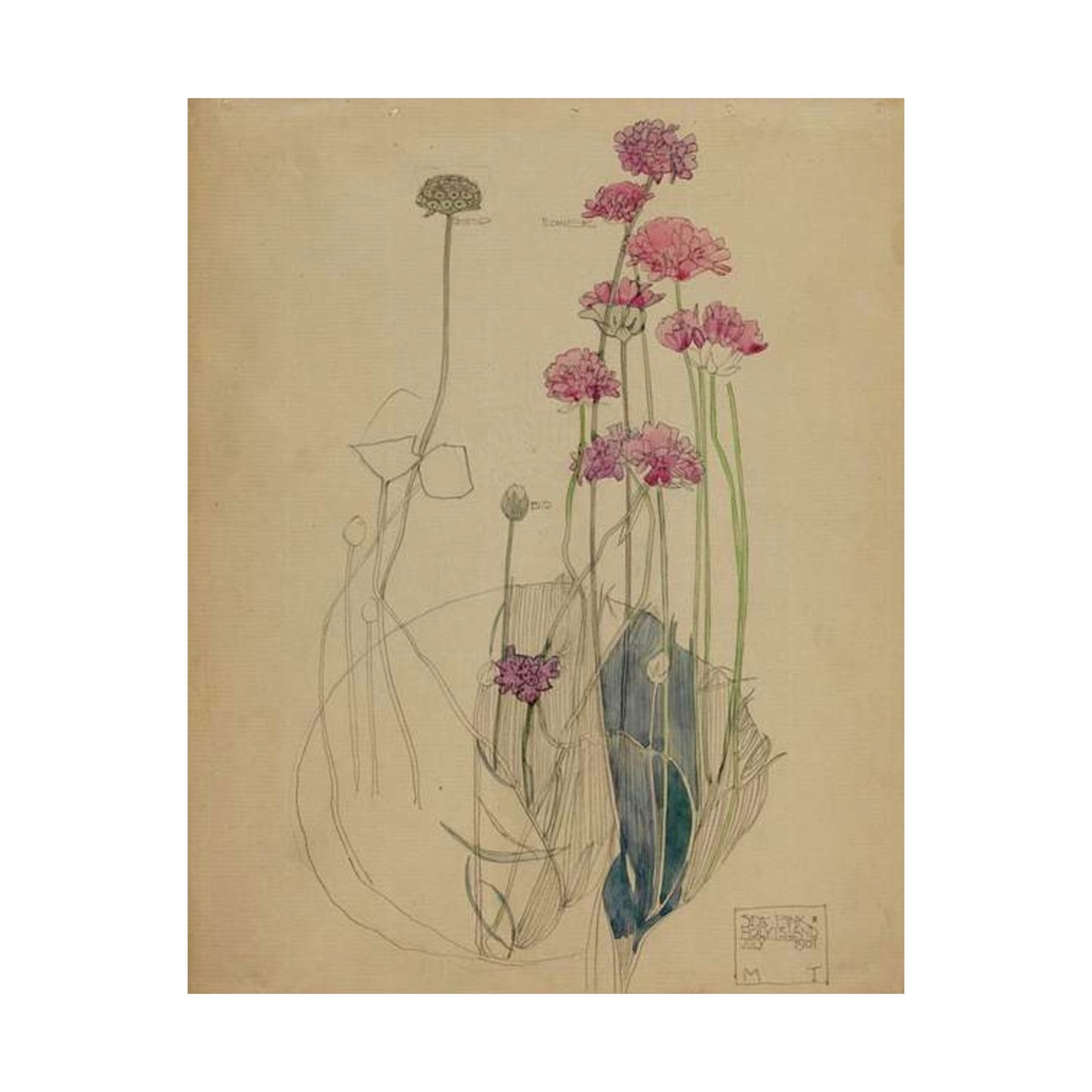 Sea Pink - Holy Island - Charles Rennie Mackintosh - 1901 High Quality Matte Wall Art Poster for Home, Office, Classroom