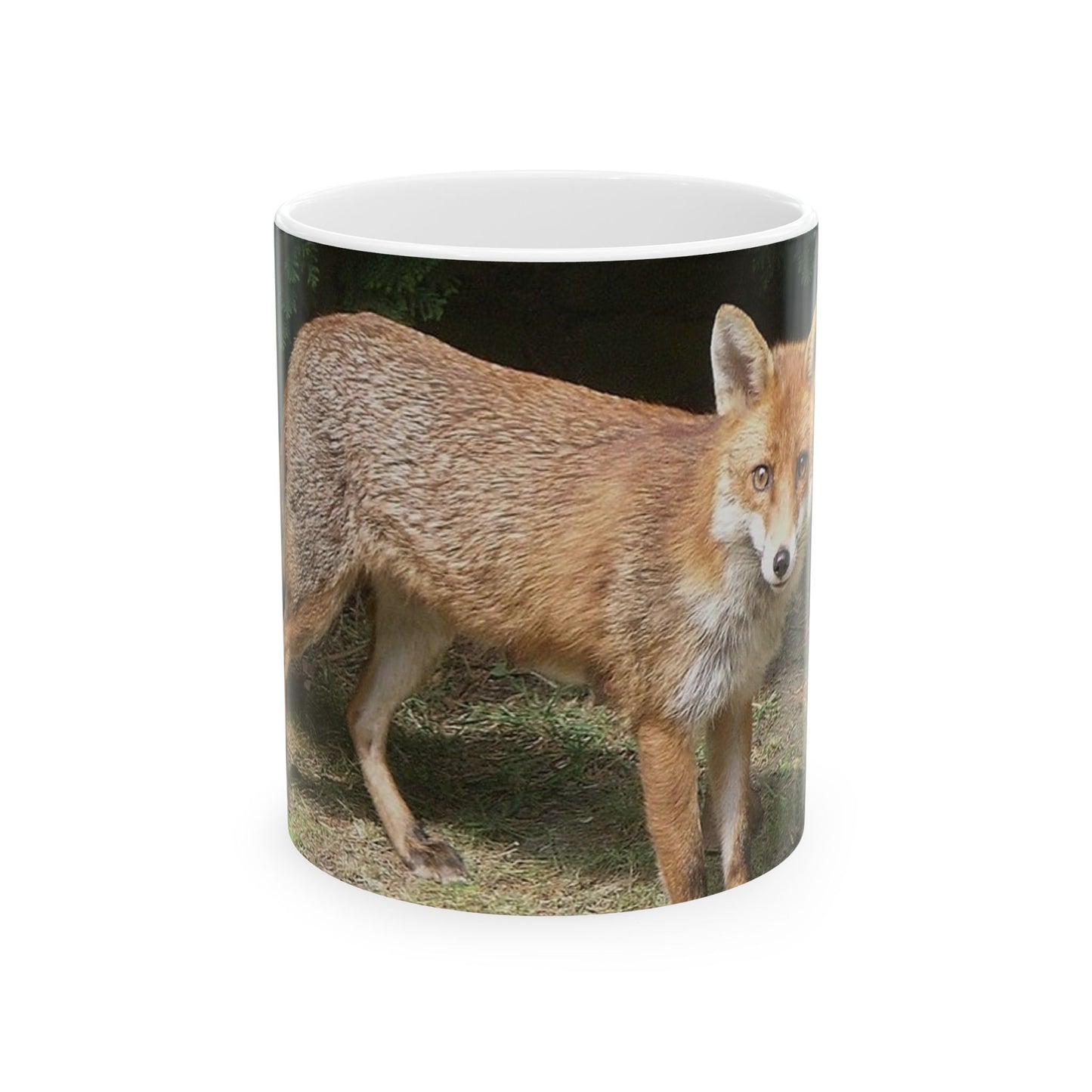 A fox standing on a sidewalk next to a bush. Fox animal wildlife, animals. Beautiful Novelty Ceramic Coffee Mug 11oz