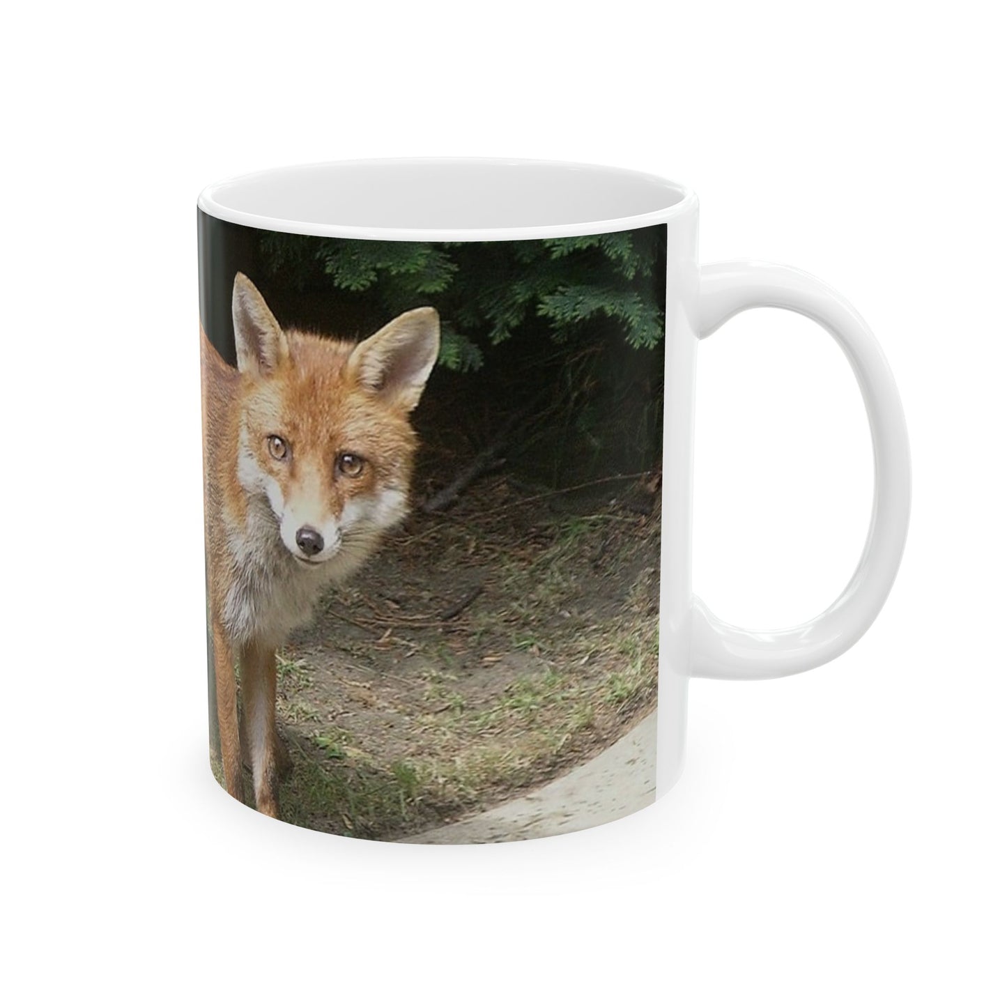 A fox standing on a sidewalk next to a bush. Fox animal wildlife, animals. Beautiful Novelty Ceramic Coffee Mug 11oz