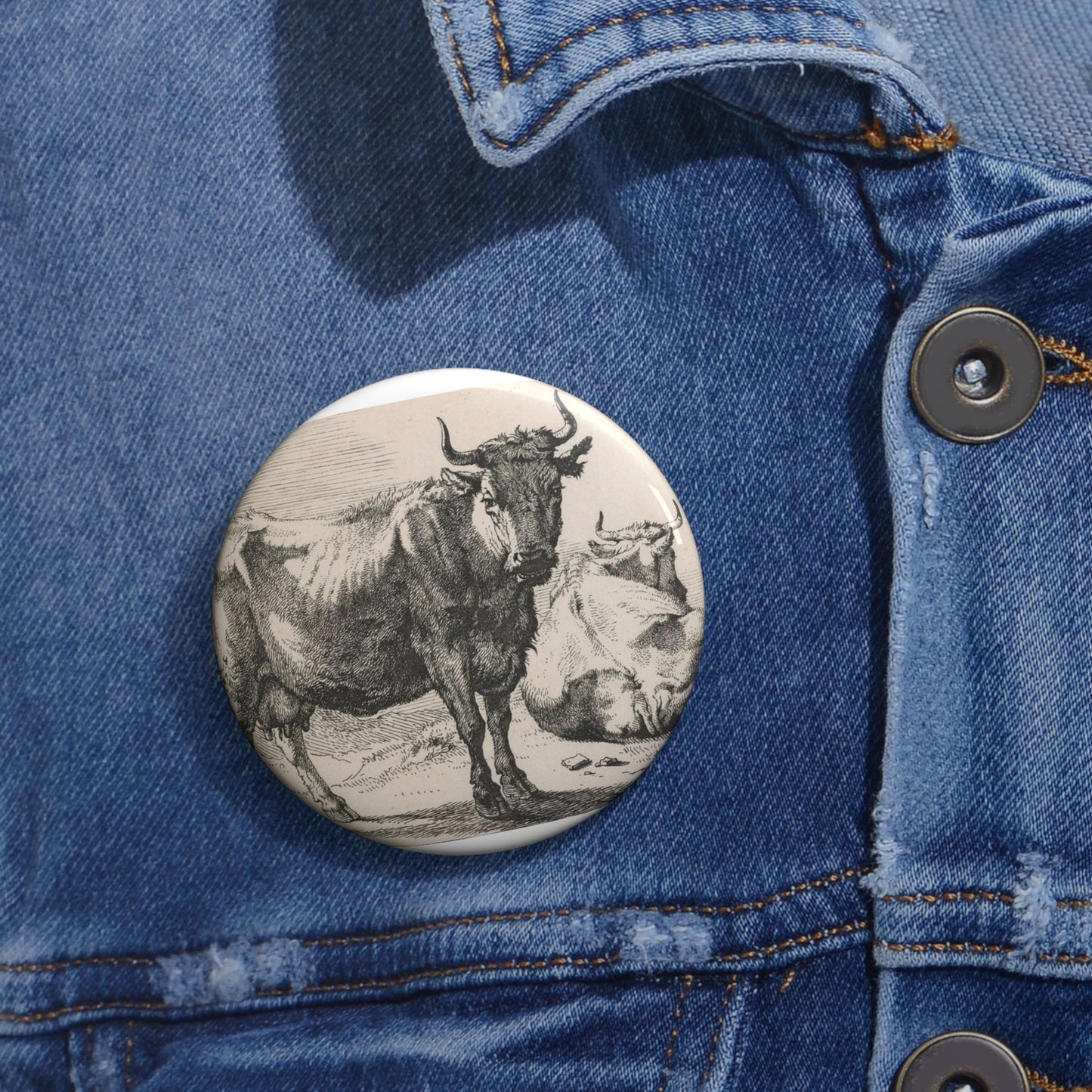 Series of various oxen and cows ('Het Bullenboekje'). Plate 2. A cow standing and another lying down. Pin Buttons with Crisp Design