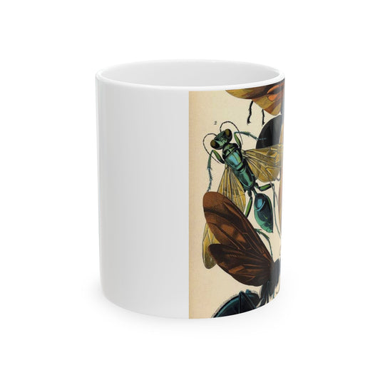 Insectes - EA Séguy - 1929 - page 07 Beautiful Novelty Ceramic Coffee Mug 11oz