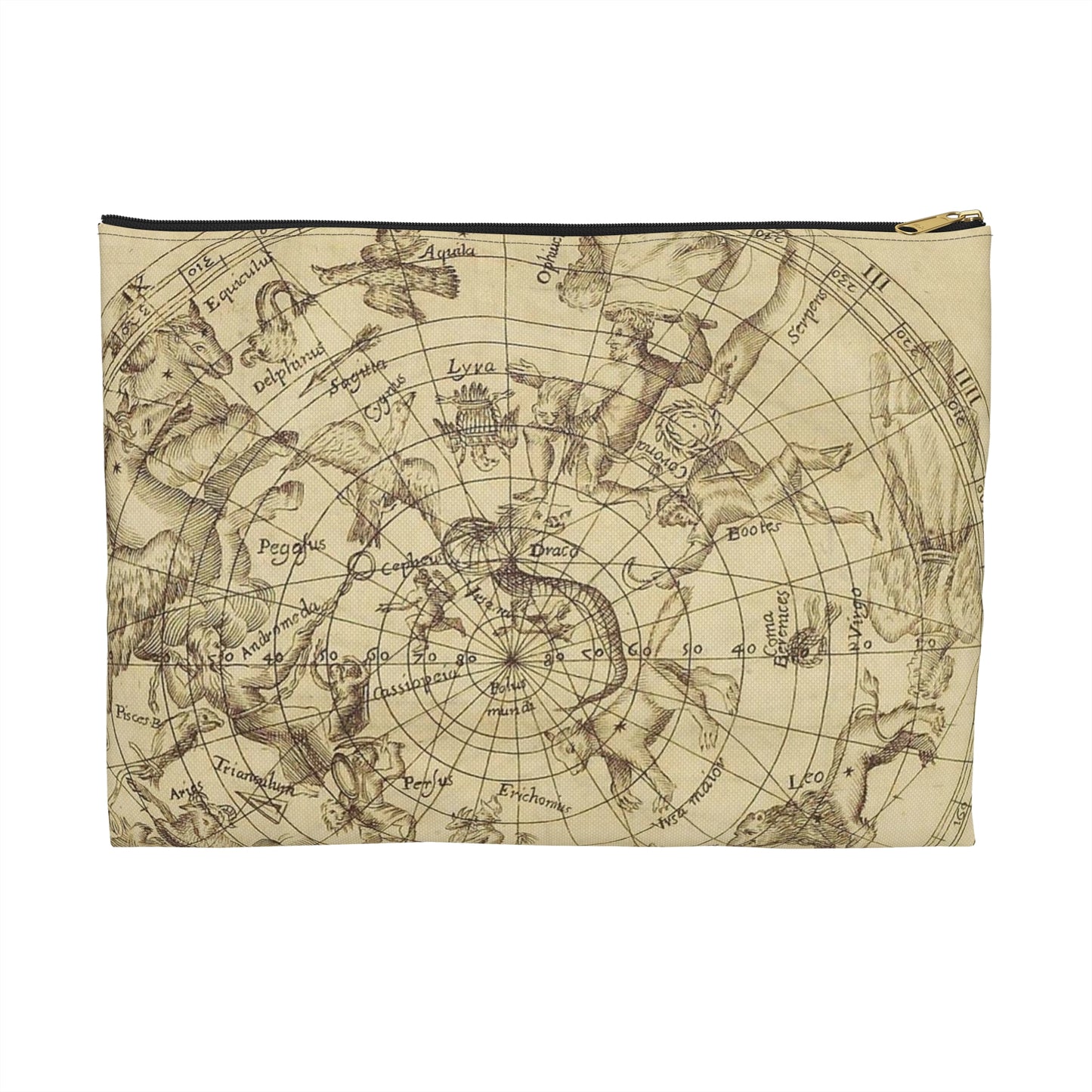 sciathericon stellarum - Drawing. Public domain image. Large Organizer Pouch with Black Zipper