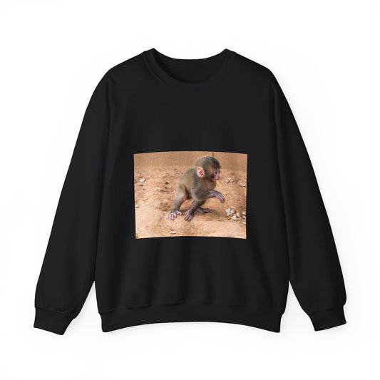 Public domain stock image. Monkey baby eating peanut. Black Heavy Blend Adult Crew Neck SweatShirt