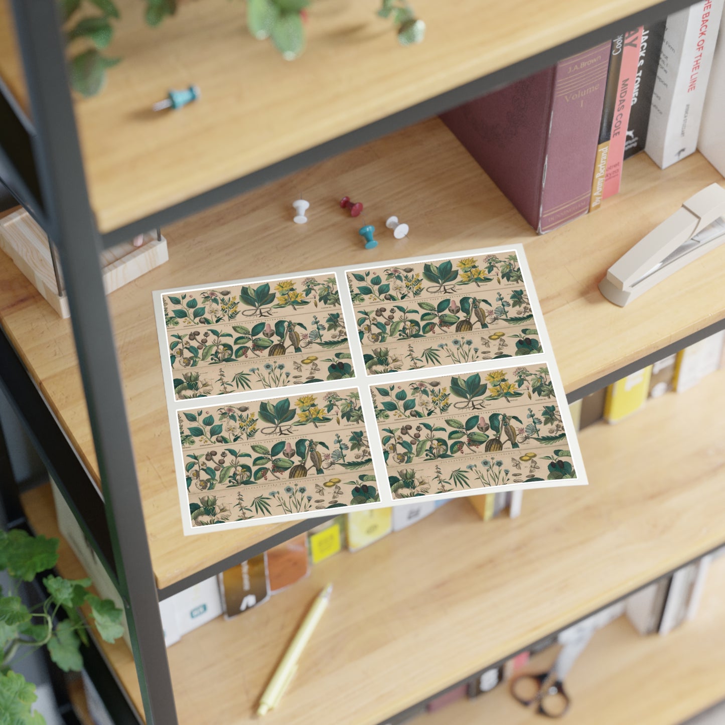 School and family charts, accompanied by a manual of object lessons and elementary instruction, by Marcius Willson and N.A. Calkins. No. XXII. Botanical: economical uses of plants-continued Laminated UV Protective Vinyl Stickers