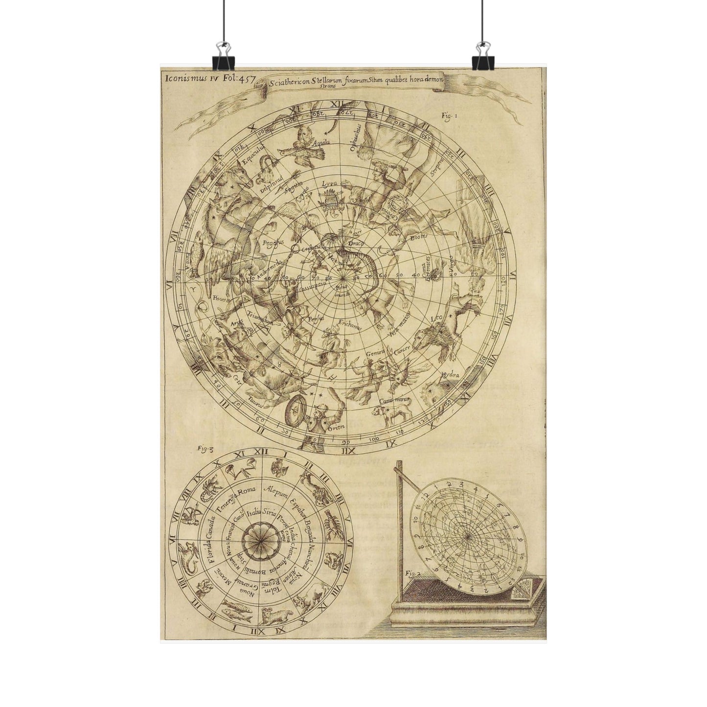 sciathericon stellarum - Drawing. Public domain image. High Quality Matte Wall Art Poster for Home, Office, Classroom