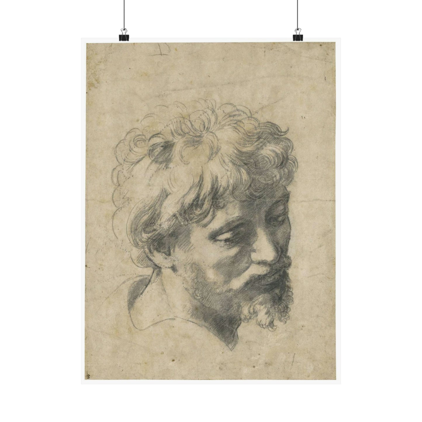 Raffaello Sanzio - Head of a Young Apostle, lot.52 High Quality Matte Wall Art Poster for Home, Office, Classroom