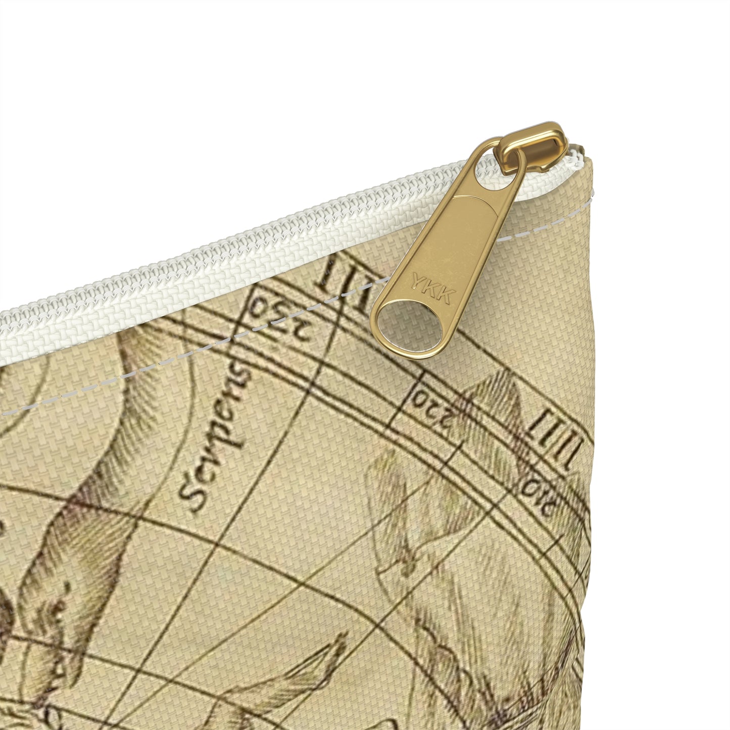 sciathericon stellarum - Drawing. Public domain image. Large Organizer Pouch with Black Zipper