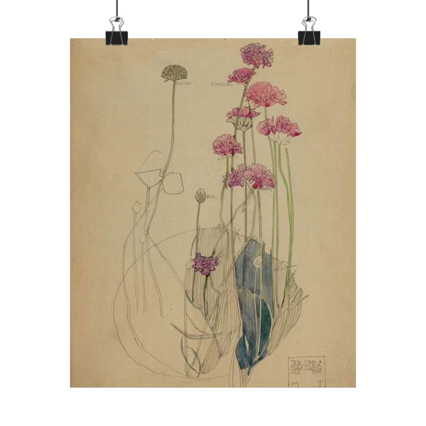 Sea Pink - Holy Island - Charles Rennie Mackintosh - 1901 High Quality Matte Wall Art Poster for Home, Office, Classroom