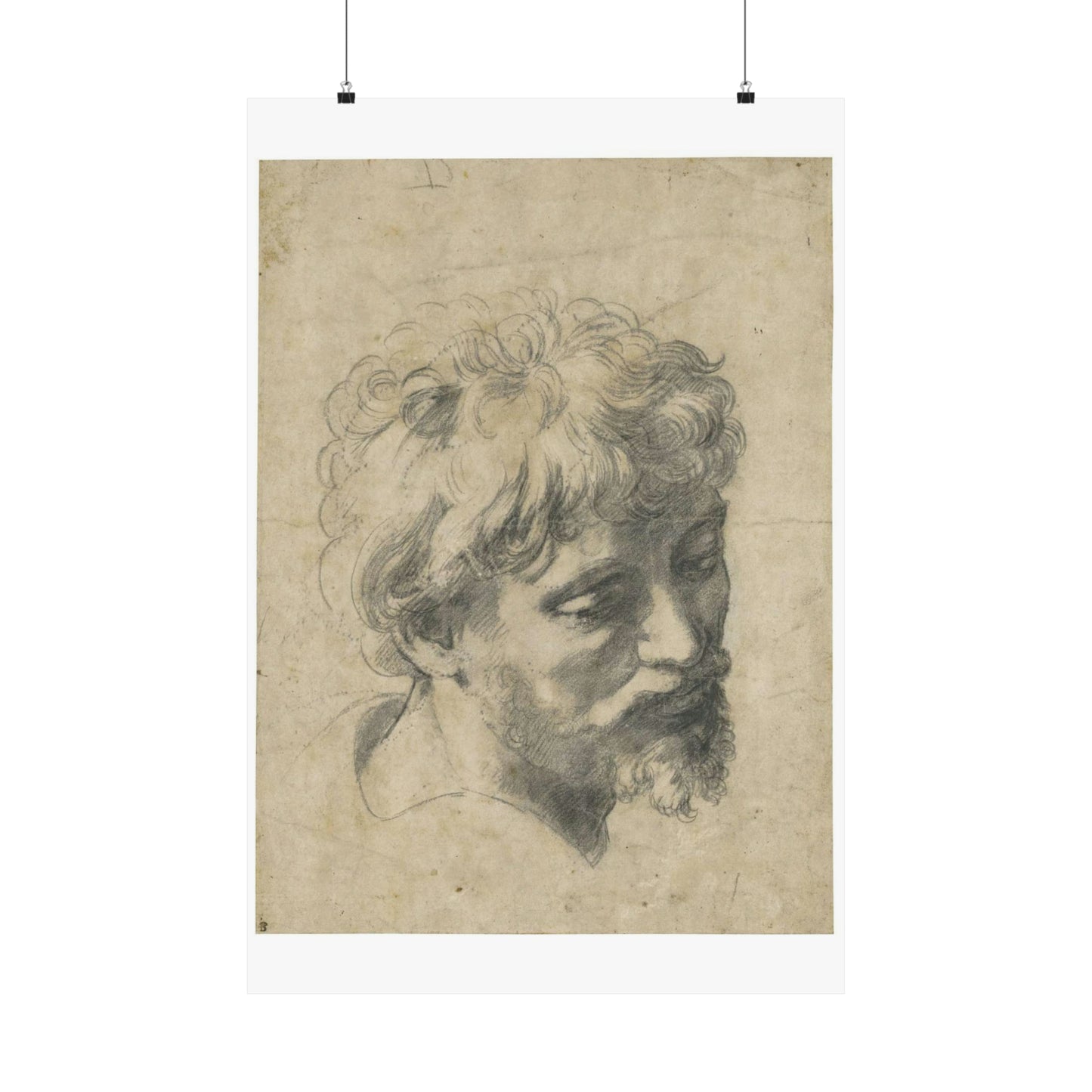 Raffaello Sanzio - Head of a Young Apostle, lot.52 High Quality Matte Wall Art Poster for Home, Office, Classroom