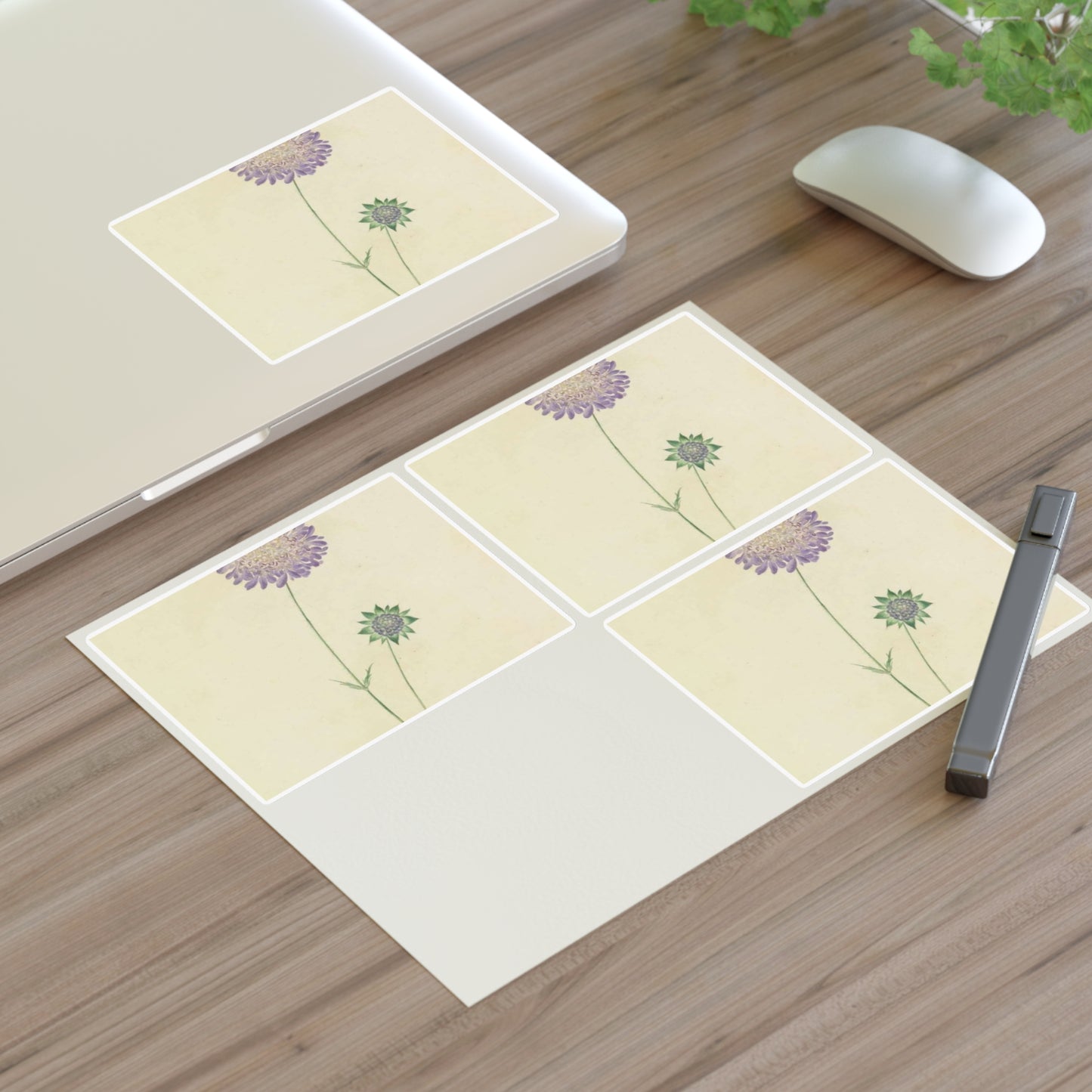 Scabiosa by Lydia Penrose Laminated UV Protective Vinyl Stickers