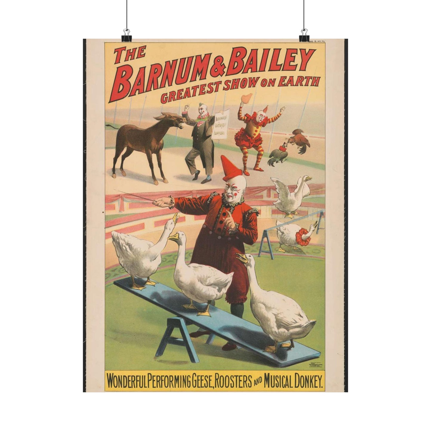 The Barnum & Bailey greatest show on earth. Wonderful performing geese, roosters and musical donkey / Strobridge Litho. Co., Cincinnati & New York. High Quality Matte Wall Art Poster for Home, Office, Classroom