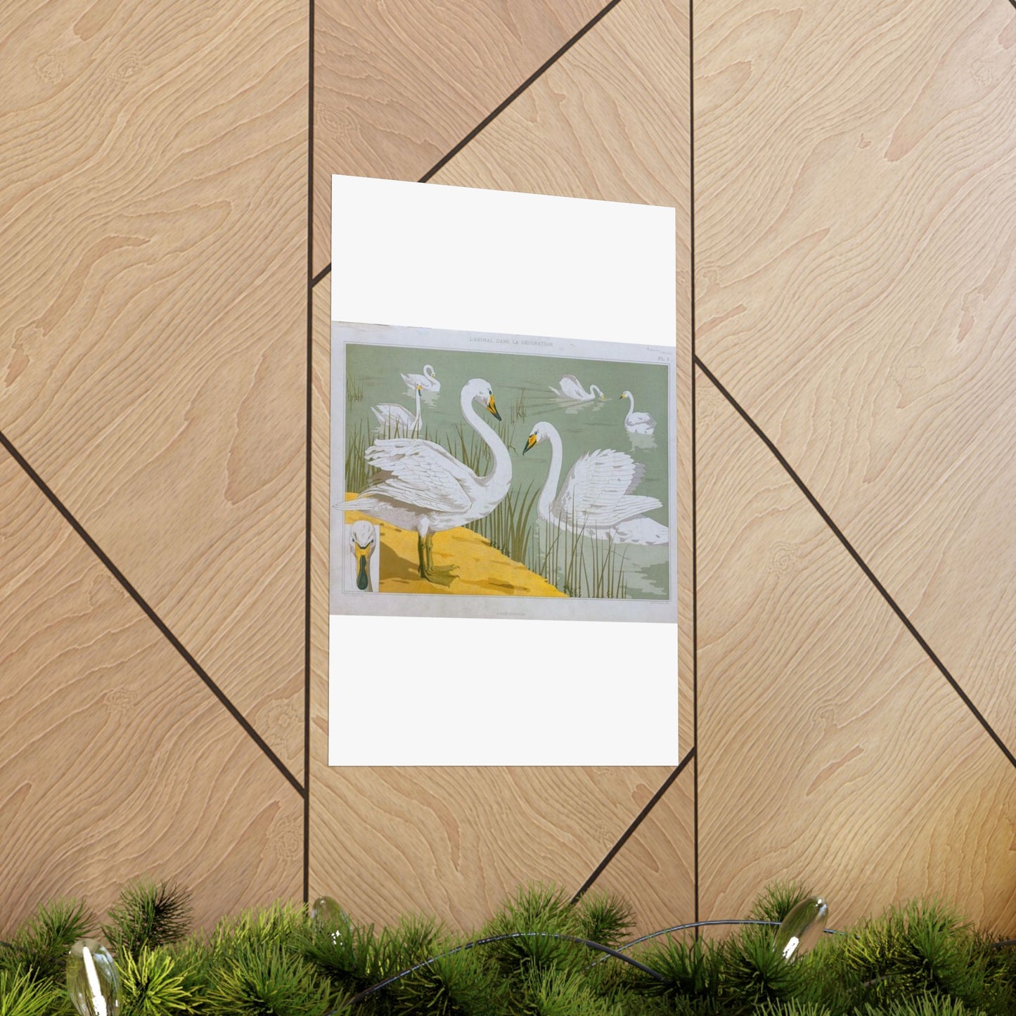 Cygne sauvage - Art nouveau public domain image High Quality Matte Wall Art Poster for Home, Office, Classroom