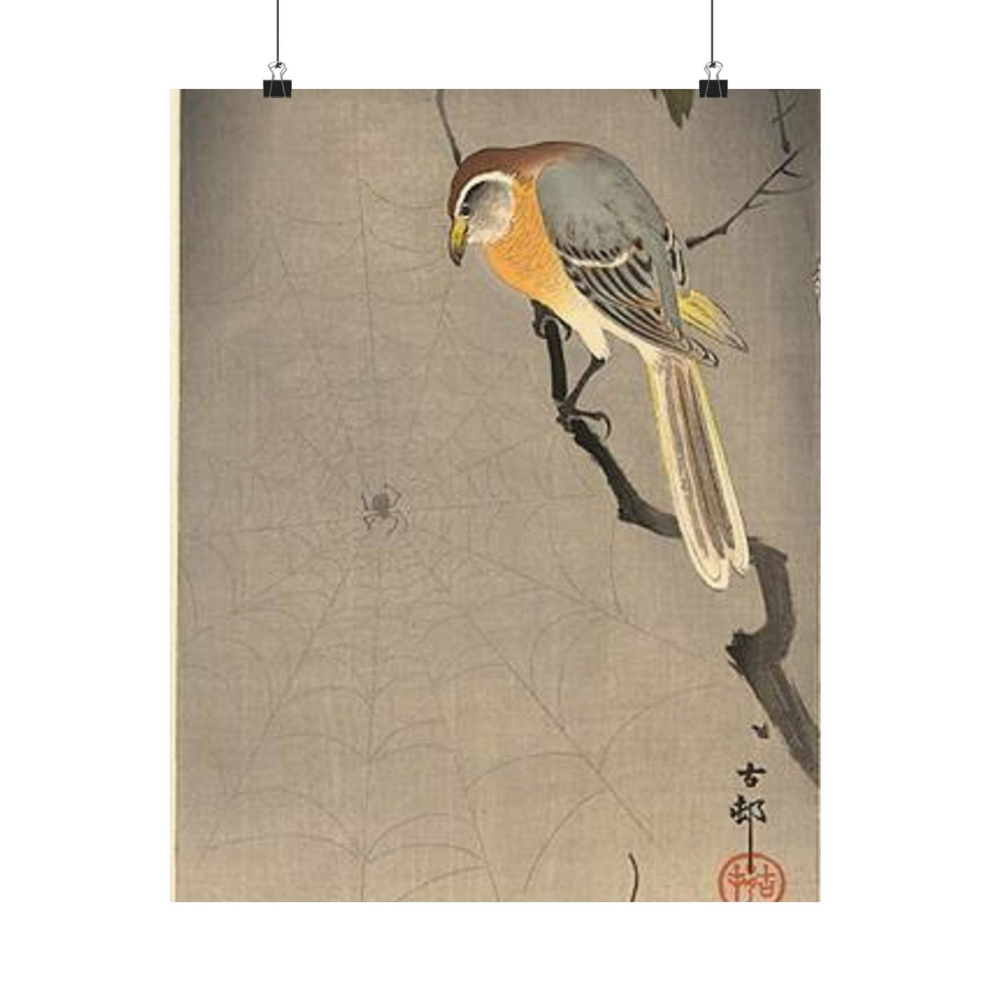 Koson - the-spiderweb, Ohara Koson High Quality Matte Wall Art Poster for Home, Office, Classroom