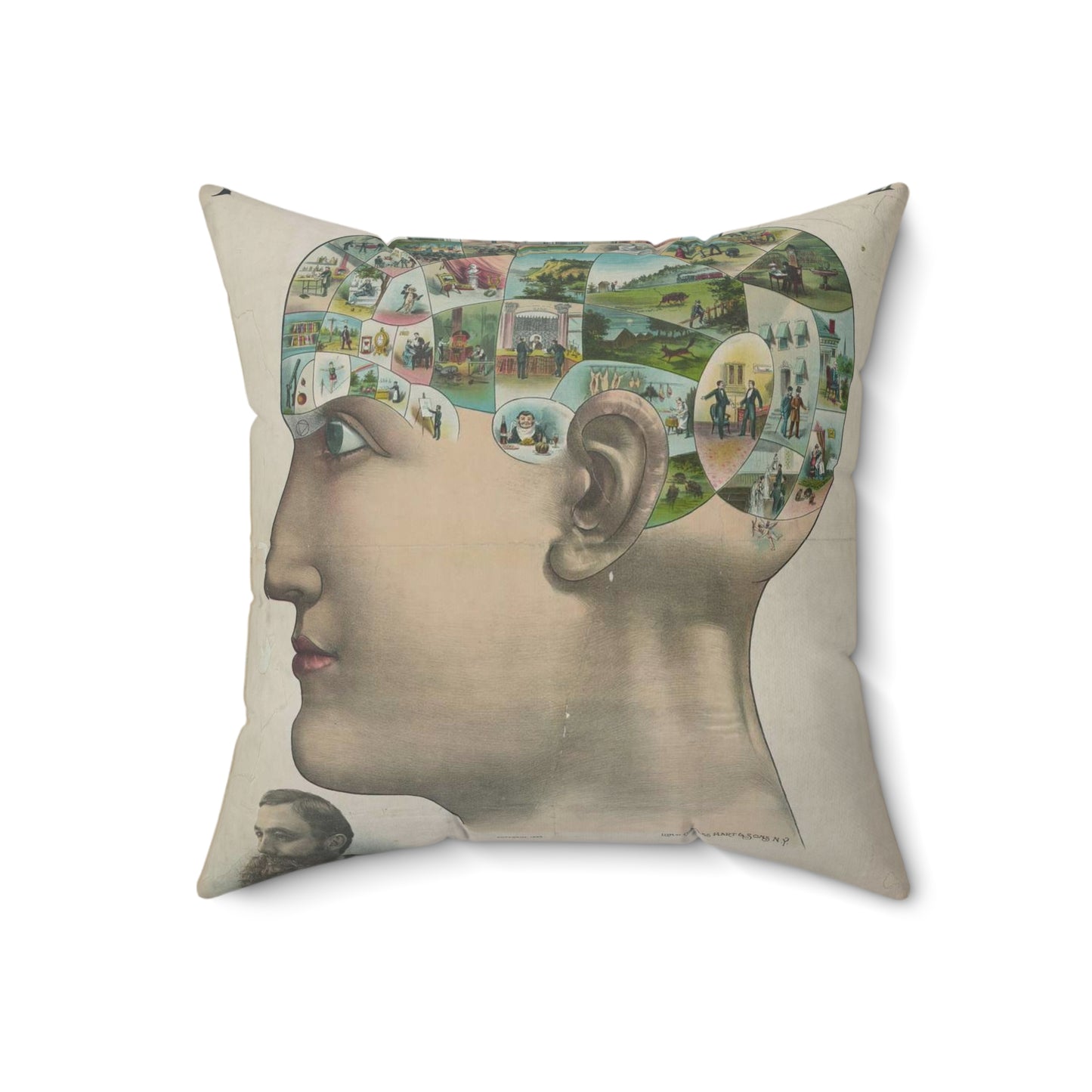 Popular lectures on human nature Decorative Accent Square Pillow